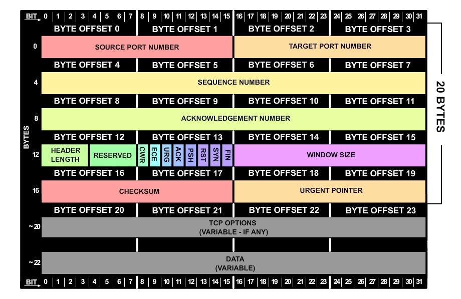 TCP报文格式